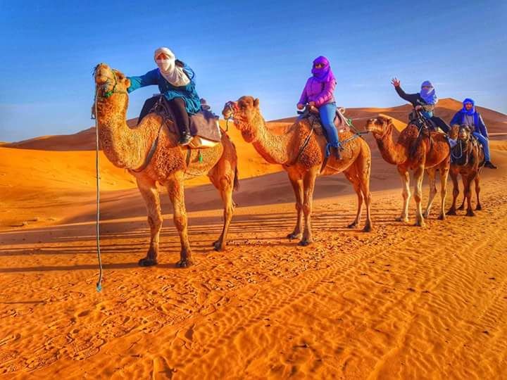 Experience Authentic Morocco Guided Tours with Moroccan Voyager
