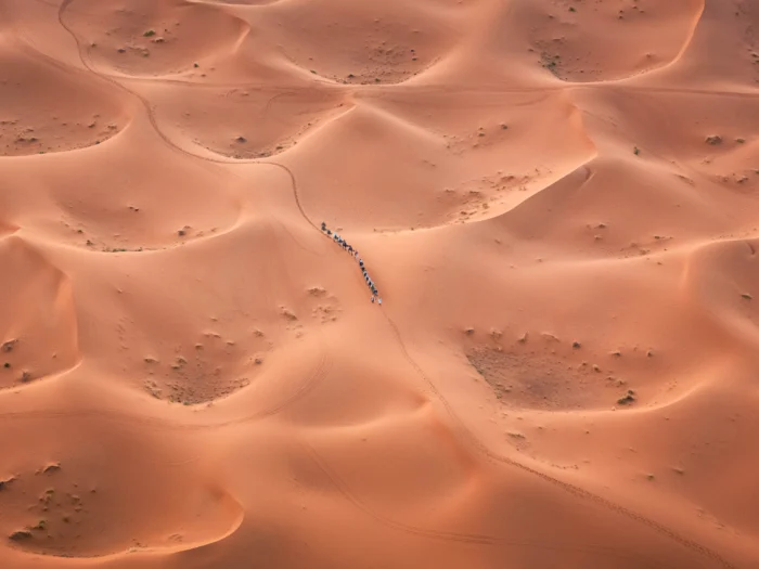 4-Day Private Tour of the Atlas Mountains and Desert - Image 13