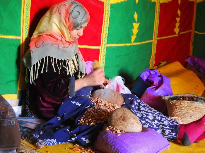 Day Trip to Essaouira from Marrakech - Image 2