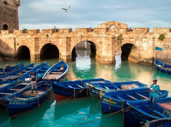 Day Trip to Essaouira from Marrakech - Image 3